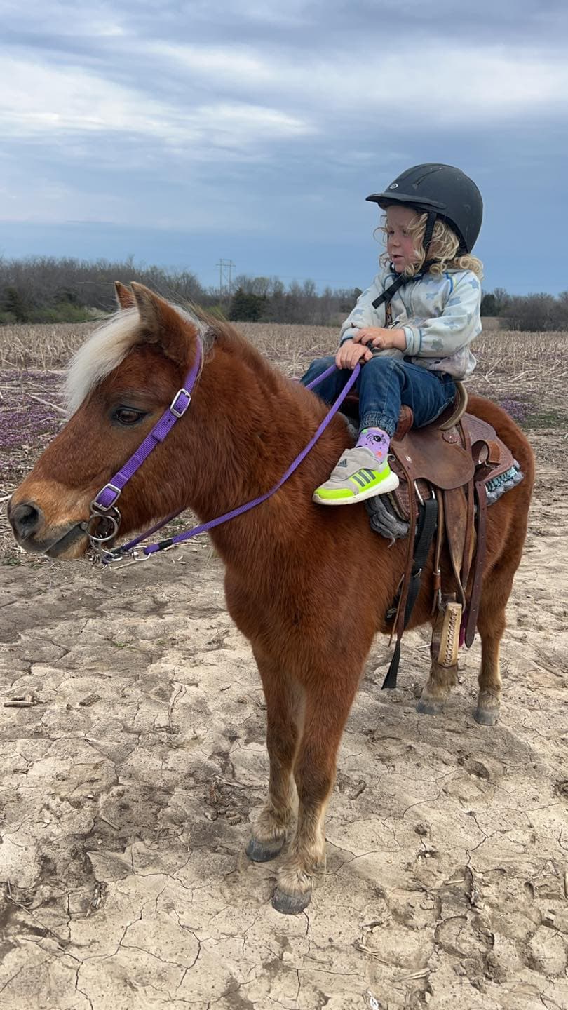 Pony Rides w/ Blair’s Barn