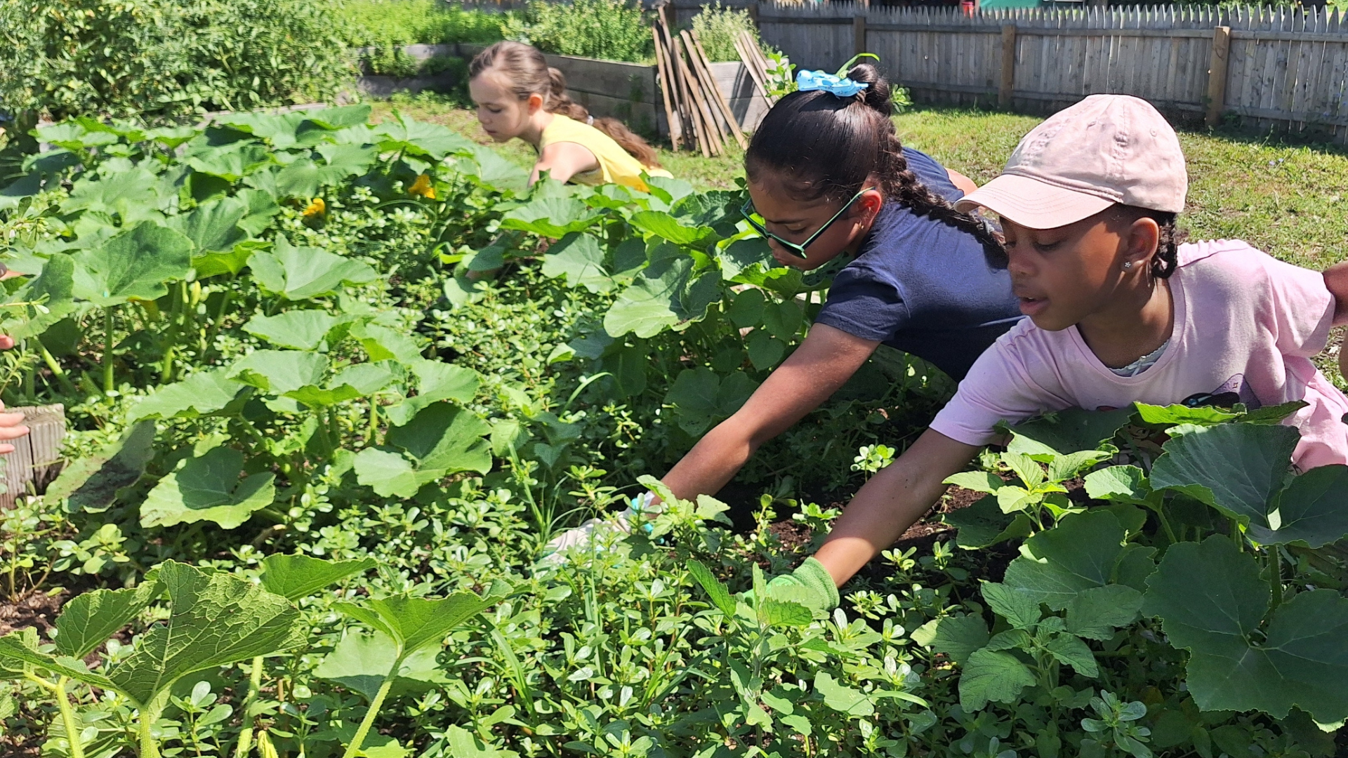 Grow & Gather: Family Gardening Program