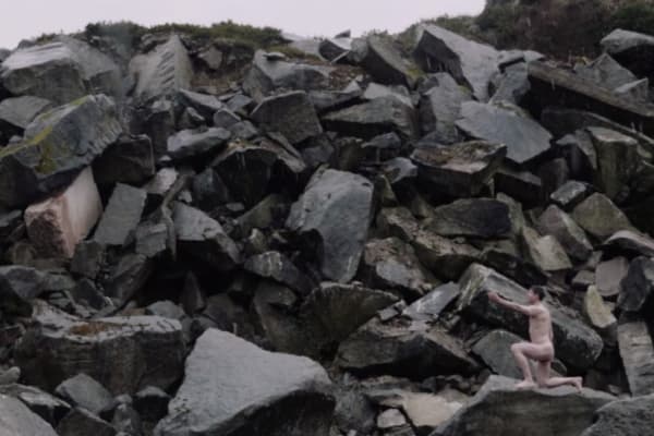 Romance, regret, and regeneration in landscape