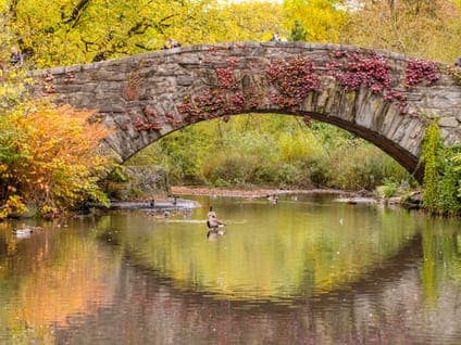 Iconic Views of Central Park Tour