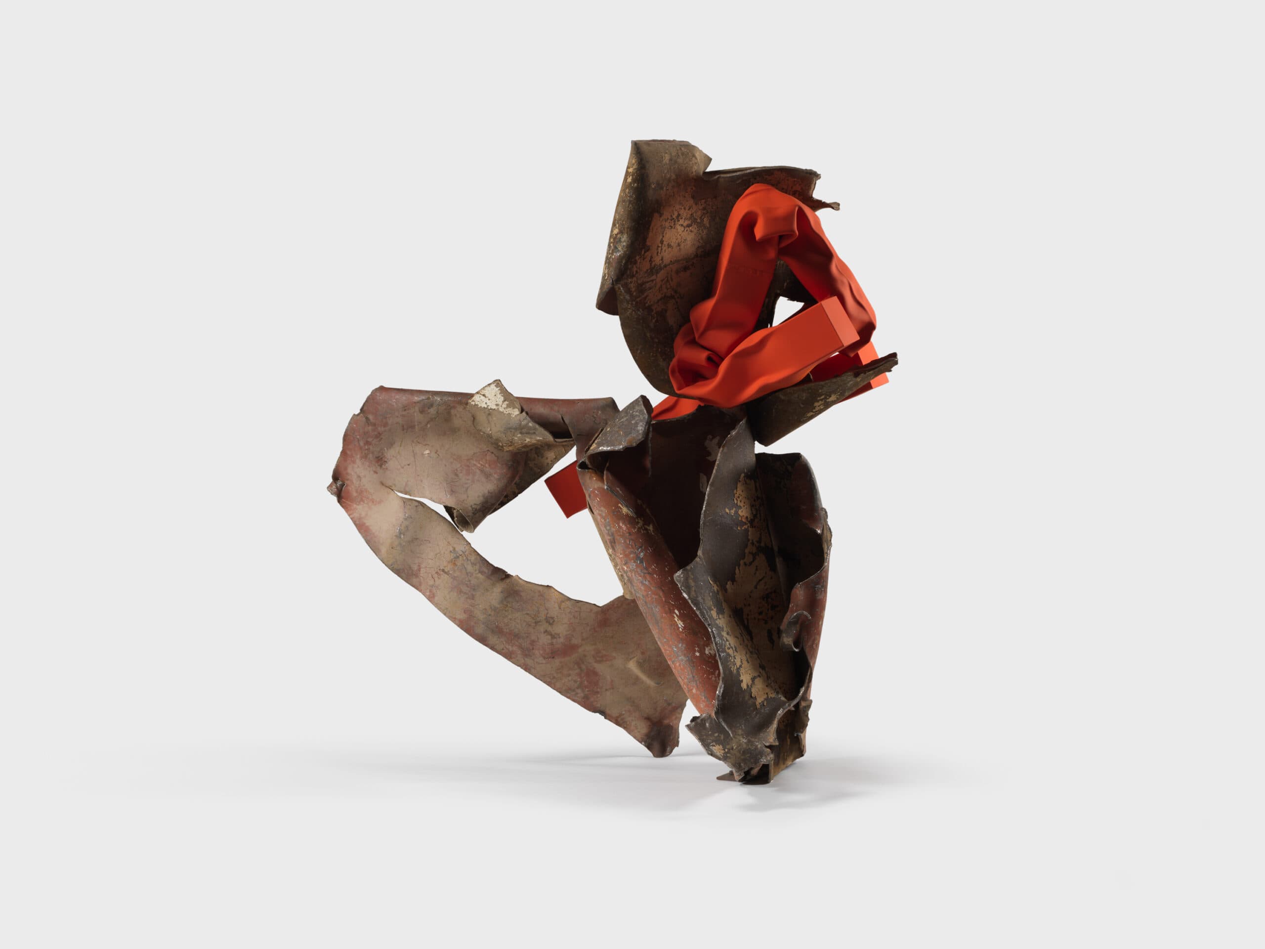 Mind’s Eye: Carol Bove