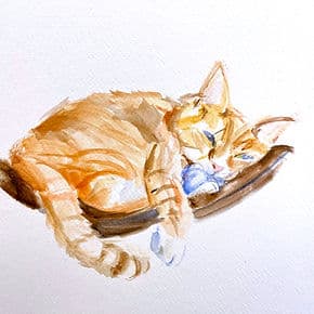 Intro to Watercolor: Animals and Pets