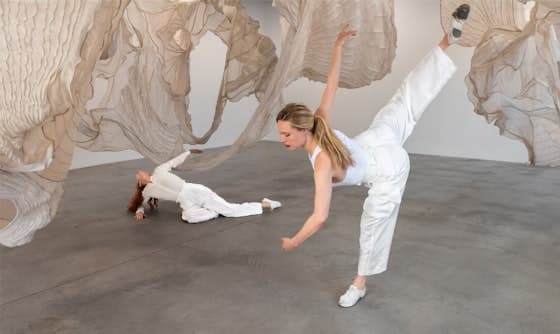 Superbloom (Dancing Into Choreographic Forms)